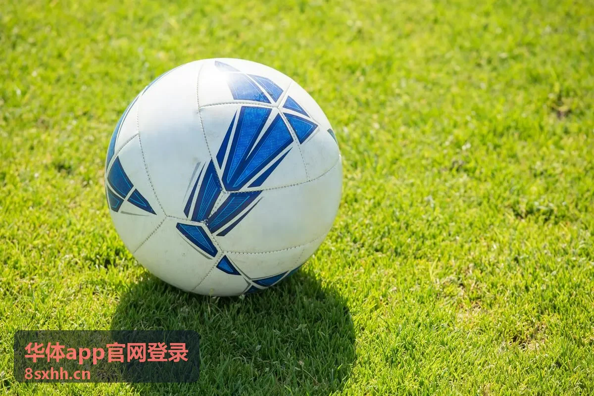 华体app官网登录足球赛事精彩瞬间